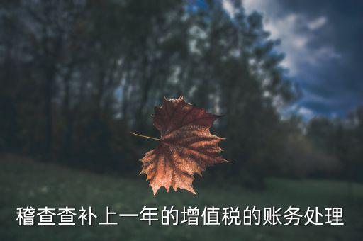 稽查補(bǔ)什么稅，請問被國稅局稽查局查處補(bǔ)交增值稅所得稅及滯納金計入應(yīng)哪個科目