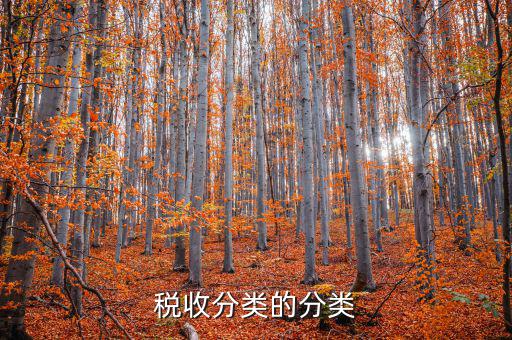 代售點屬于什么稅務(wù)類型，電信代理費屬于稅收分類編碼