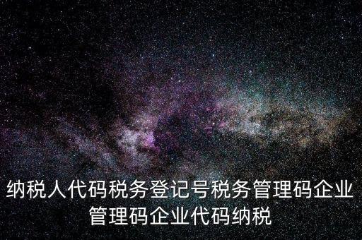 納稅人管理代碼是什么，納稅人代碼稅務(wù)登記號(hào)稅務(wù)管理碼企業(yè)管理碼企業(yè)代碼納稅