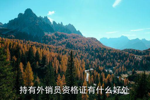 持有外銷(xiāo)員資格證有什么好處