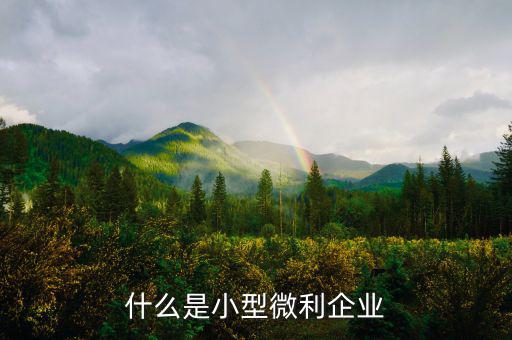 什么叫小型微利企業(yè)，什么是小型微利企業(yè)