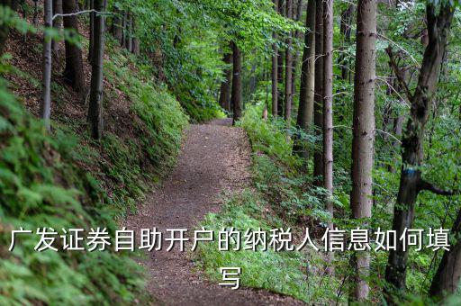 廣發(fā)證券自助開(kāi)戶的納稅人信息如何填寫