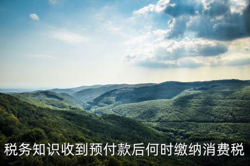 消費稅是什么時候交，各種稅費交納時間