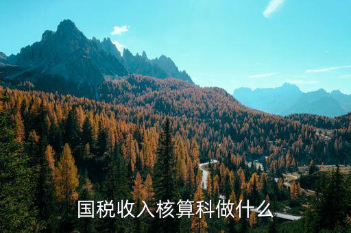 收入規(guī)劃核算處做什么的，收入核算是做什么的