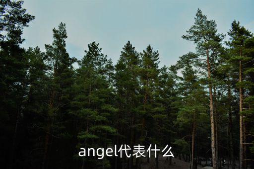 實(shí)體化管理什么意思，angel代表什么