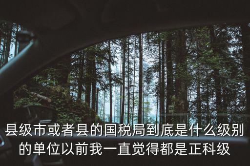 縣國稅局辦稅服務(wù)廳主任是什么級(jí)別，縣地稅局辦公室主任是什么行政級(jí)別