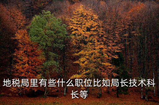 地稅局有什么委員，地級市稅務(wù)局辦公室副主任屬什么級別的官員