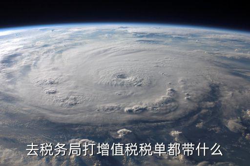 國(guó)稅局打印稅單要什么，到稅務(wù)打印稅單需要什么資料