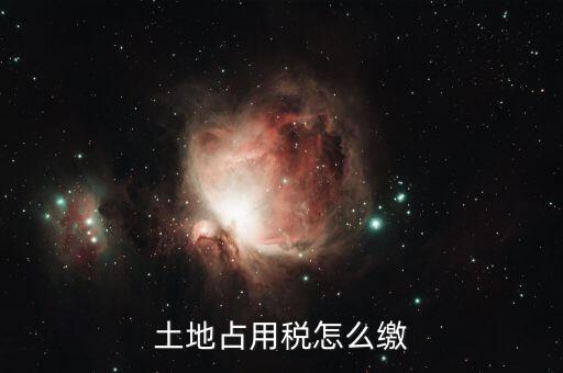 土地占用繳納什么稅，土地使用占用稅是什么