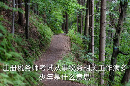 稅務(wù)從業(yè)人數(shù)是什么意思，請(qǐng)問(wèn)稅務(wù)自查表中的查 數(shù)是什么意思急