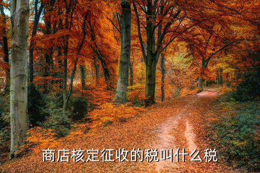 核定征收交什么稅，商店核定征收的稅叫什么稅