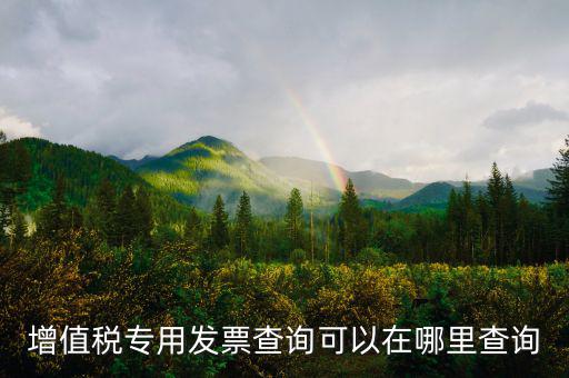 在什么網(wǎng)站查發(fā)票，發(fā)票查驗(yàn)在哪里查