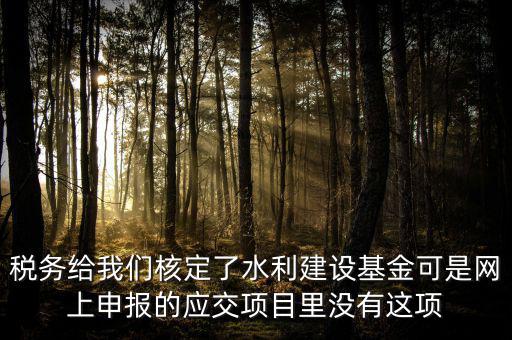 為什么水利建設(shè)無(wú)法申報(bào)，地稅電子稅務(wù)局的水利基金下滑找不到申報(bào)怎么辦