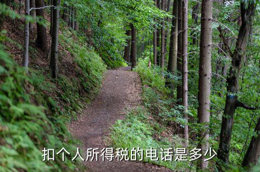 扣個(gè)人所得稅的電話(huà)是多少
