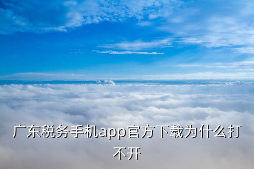 廣東省國(guó)稅為什么進(jìn)不去，廣東稅務(wù)登陸進(jìn)去一直顯示數(shù)據(jù)有誤請(qǐng)稍候重試是什么原因
