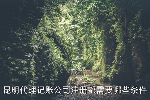 昆明報稅要什么條件，httpswwwkmgsgovcn 我是一個新客戶要怎樣才能進入昆明國稅局