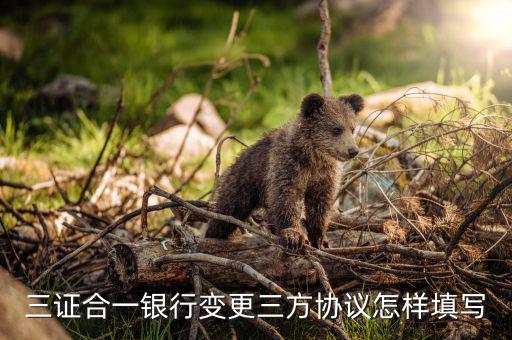 三證合一簽三方需要填什么，三證合一銀行變更三方協(xié)議怎樣填寫
