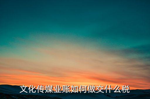 文化傳媒公司交什么稅，開傳媒公司旗下藝人要交哪些稅