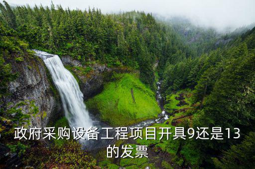 政府采購要什么發(fā)票，政府采購設備工程項目開具9還是13的發(fā)票