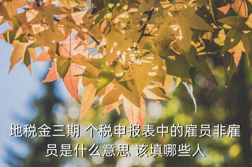 雇員納稅人是什么意思，地稅金三期 個(gè)稅申報(bào)表中的雇員非雇員是什么意思 該填哪些人