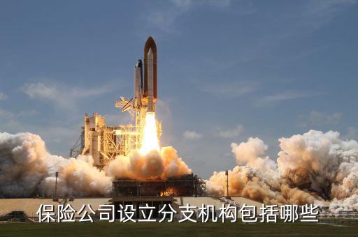 什么是分支機構(gòu)類型，公司的分支機構(gòu)是什么它和分公司子公司有什么區(qū)別