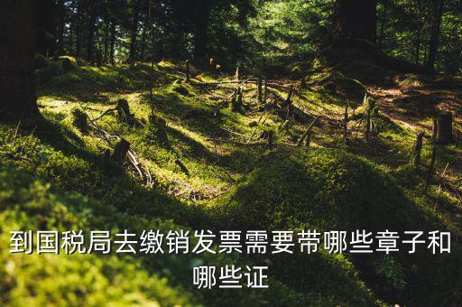 繳銷出口商品統(tǒng)一發(fā)票要蓋什么章，到國(guó)稅局去繳銷發(fā)票需要帶哪些章子和哪些證