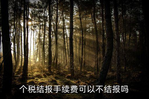 手續(xù)費結(jié)報是什么意思，請問個稅手續(xù)費申領(lǐng)具體怎么解釋啊謝謝咯