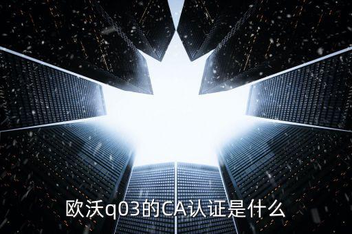 ca認證密碼是什么，歐沃q03的CA認證是什么