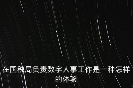 在國稅局負責(zé)數(shù)字人事工作是一種怎樣的體驗