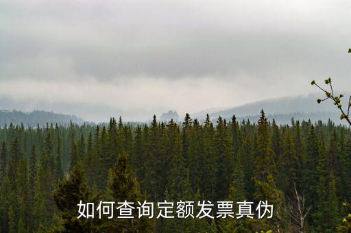 定額發(fā)票查詢的密碼是什么，如何查詢定額發(fā)票真?zhèn)?/></a></span><span id=
