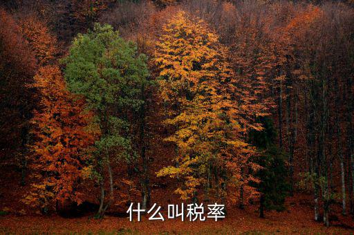 什么叫增值稅稅率，增值稅普通發(fā)票的稅率是什么意思