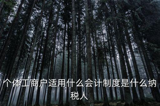 個體戶屬于什么納稅人，從事縫紉業(yè)務(wù)的個體戶屬于哪一類納稅人