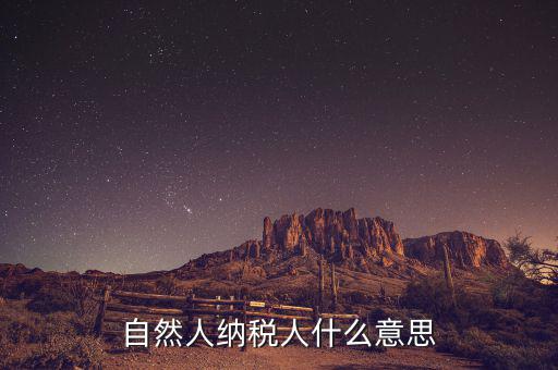 什么是自然人辦稅，自然人納稅人什么意思