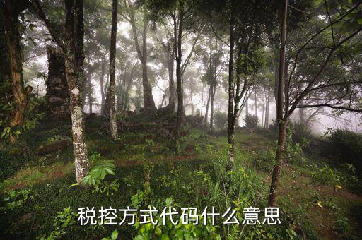 什么叫稅控碼，稅控方式代碼什么意思