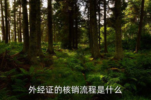 核銷的外經證是什么樣，外經證核銷是什么意思