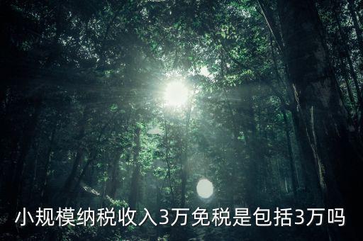 3萬免稅是指什么，小規(guī)模納稅收入3萬免稅是包括3萬嗎