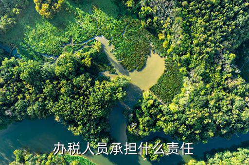 什么是辦稅人員，國(guó)稅局里的柜員和辦稅員是干什么的啊求高人指點(diǎn)