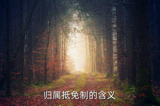 為什么要制定實施稅收抵免制度，歸屬抵免制的含義