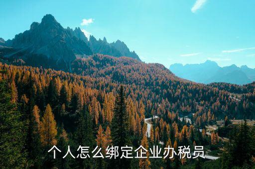 辦稅人員該綁定什么人，個人怎么綁定企業(yè)辦稅員