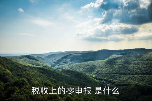 什么叫免于零申報(bào)，小規(guī)模納稅人 要增值稅納稅申報(bào) 但是每次都為零申報(bào)