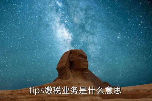 地稅tips繳款是什么意思，tips扣稅是什么意思