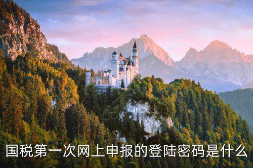 國稅網(wǎng)報(bào)口令是什么，國稅第一次網(wǎng)上申報(bào)的登陸密碼是什么