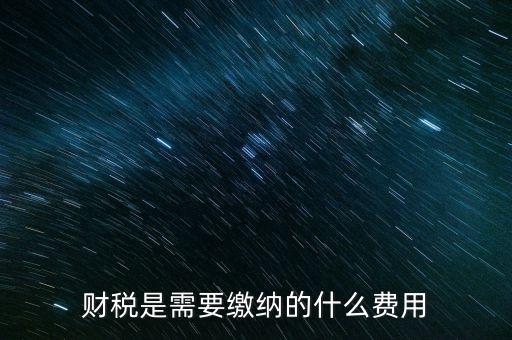 財稅是需要繳納的什么費(fèi)用