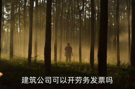 建筑行業(yè)開(kāi)什么發(fā)票，建筑公司可以開(kāi)勞務(wù)發(fā)票嗎
