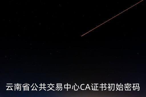 ca原始密碼登錄是什么，蘇州投標(biāo)ca初始密碼