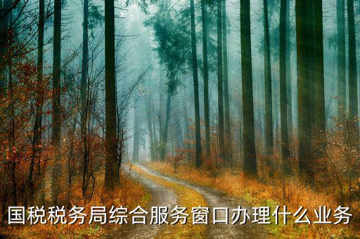 稅務(wù)局大廳窗口做什么，辦稅大廳都做些什么事