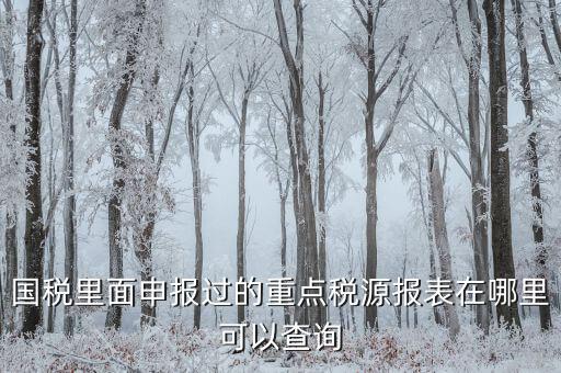 重點(diǎn)稅源預(yù)測(cè)網(wǎng)址是什么，國(guó)稅里面申報(bào)過的重點(diǎn)稅源報(bào)表在哪里可以查詢