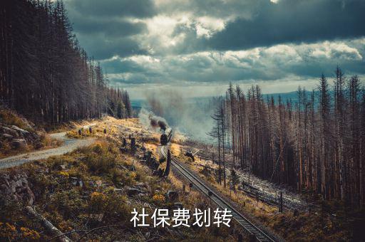 社保費(fèi)征管職責(zé)劃轉(zhuǎn)移交些什么，2020年新疆社會(huì)保險(xiǎn)費(fèi)征管職責(zé)劃轉(zhuǎn)包包括哪些內(nèi)容