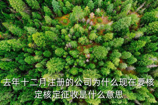為什么核定征收收據(jù)，查賬征收為什么會轉(zhuǎn)為核定征收