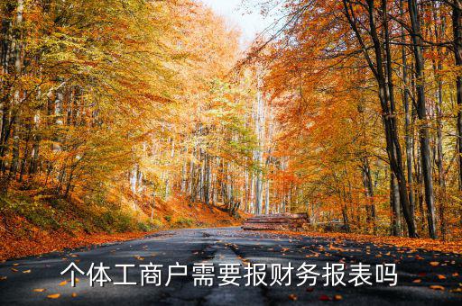 個(gè)體戶都需要申報(bào)什么表，個(gè)體工商戶需要報(bào)財(cái)務(wù)報(bào)表嗎